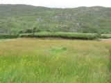 Teernahillane Ringfort - PID:62022