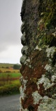 Dromatimore / Mountrivers Ogham Stone