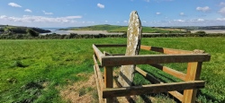 Ahidelake Standing Stone - PID:230163