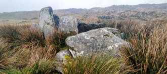 Coonane wedge tomb