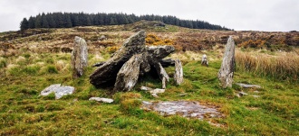 Carriganimmy (south west) wedge tomb
