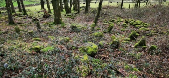 Rusheen radial stone cairn