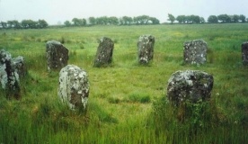 Reanascreena