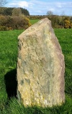 Loughane West standing stone