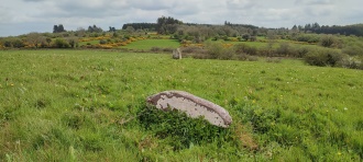 Carrignamaddry standing stones