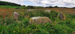 Knockraheen Stone Circle - PID:229236