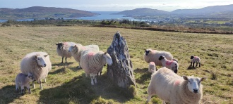 Derrymeehin West standing stone