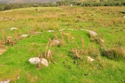 Ardgroom Stone Circle - PID:245536