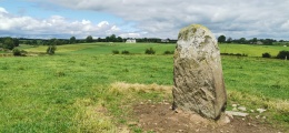 Pluckanes North standing stone - PID:229413