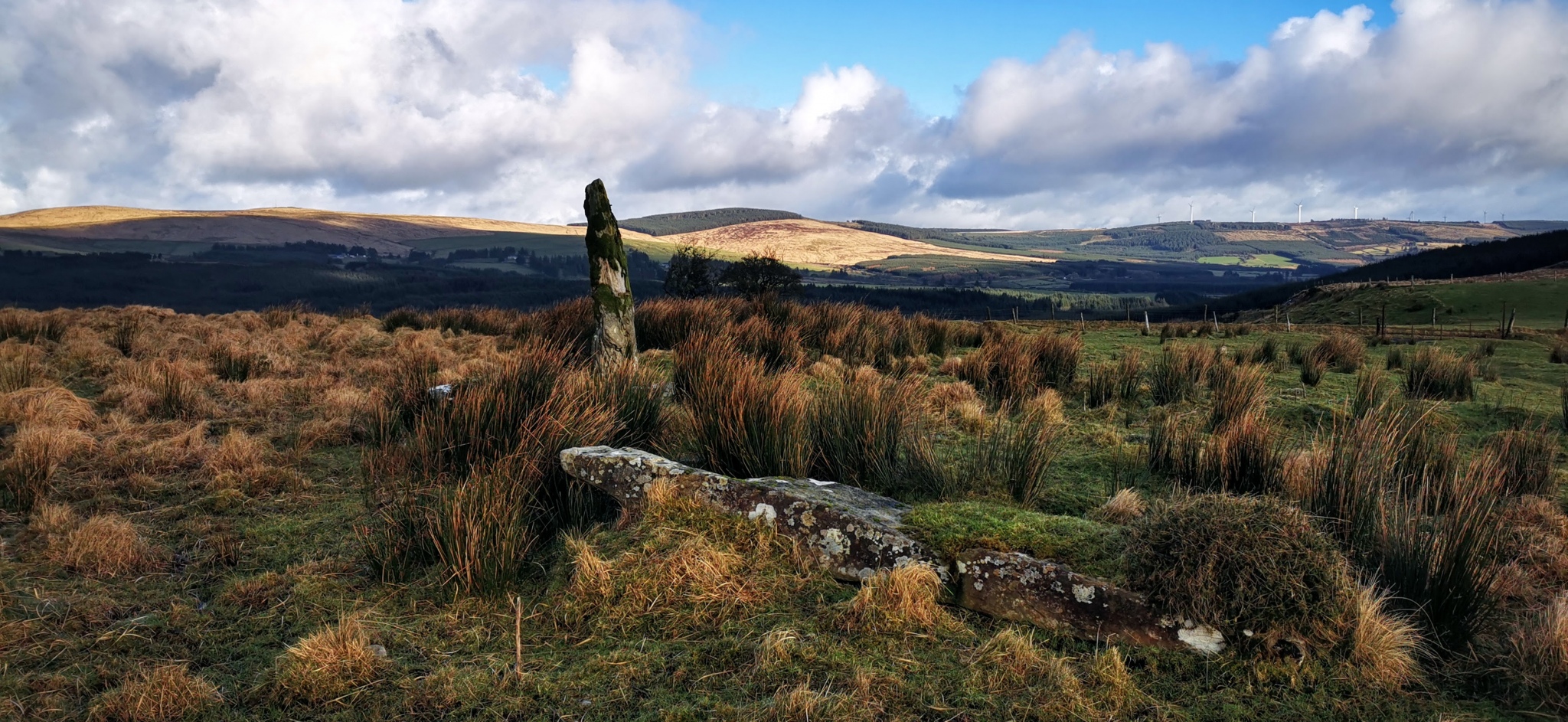 Click for the gallery page to add comments and vote (PID:221967) Knocknagappul Stone Row