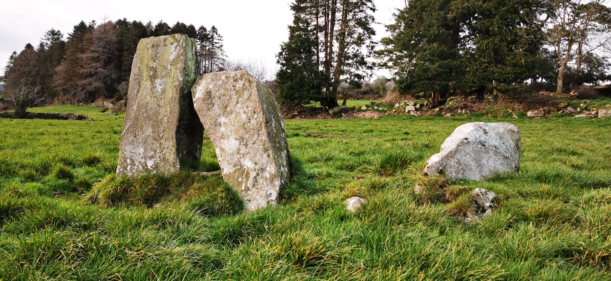Click for the gallery page to add comments and vote (PID:223215) Ballyvongane