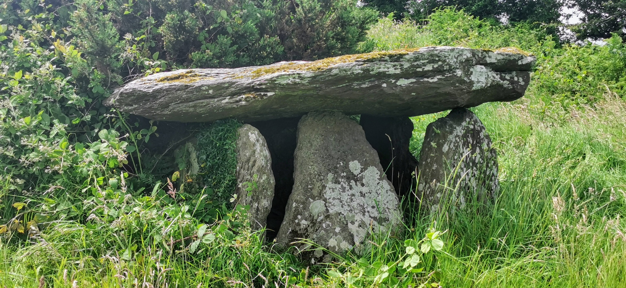 Click for the gallery page to add comments and vote (PID:228617) An Bhéillic wedge tomb
