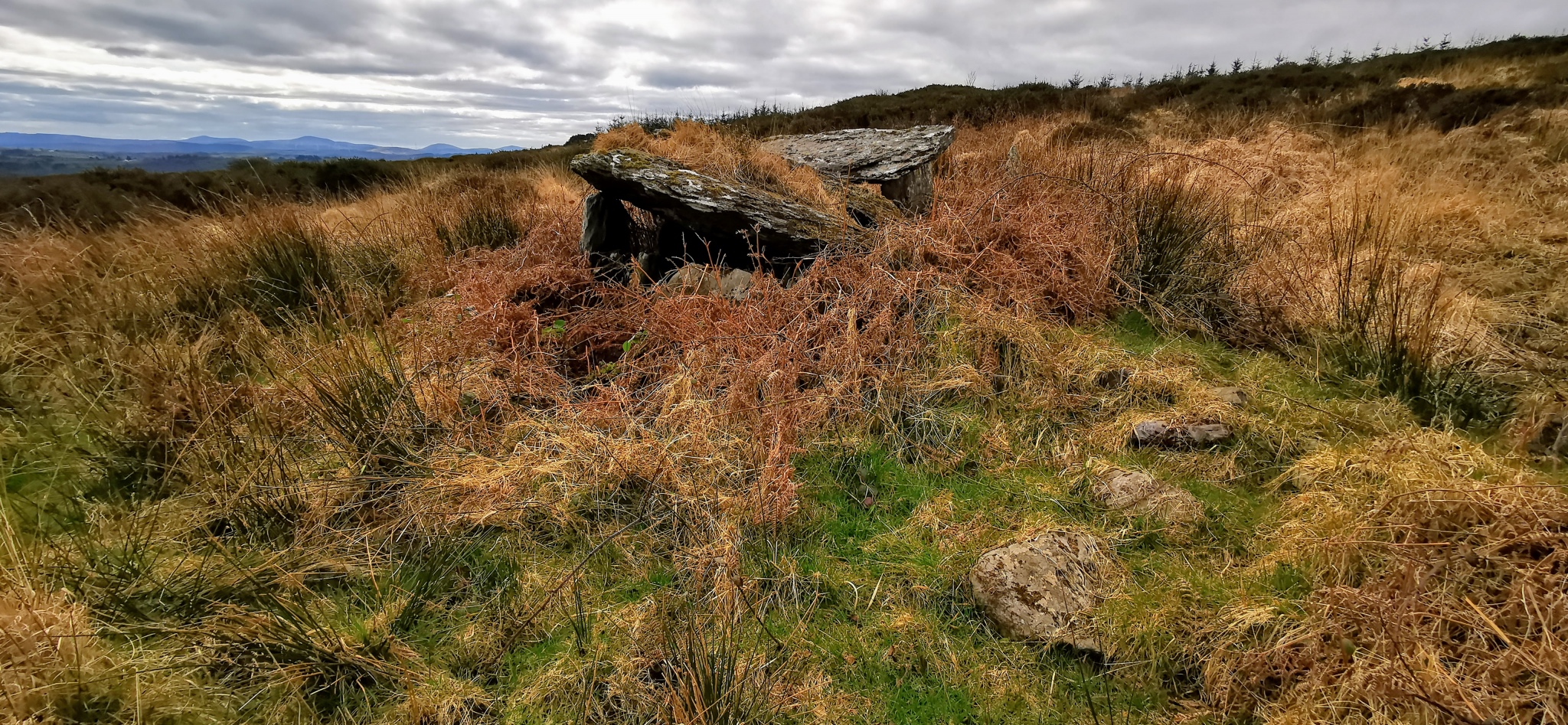 Click for the gallery page to add comments and vote (PID:224754) Carrigonirtane wedge tomb