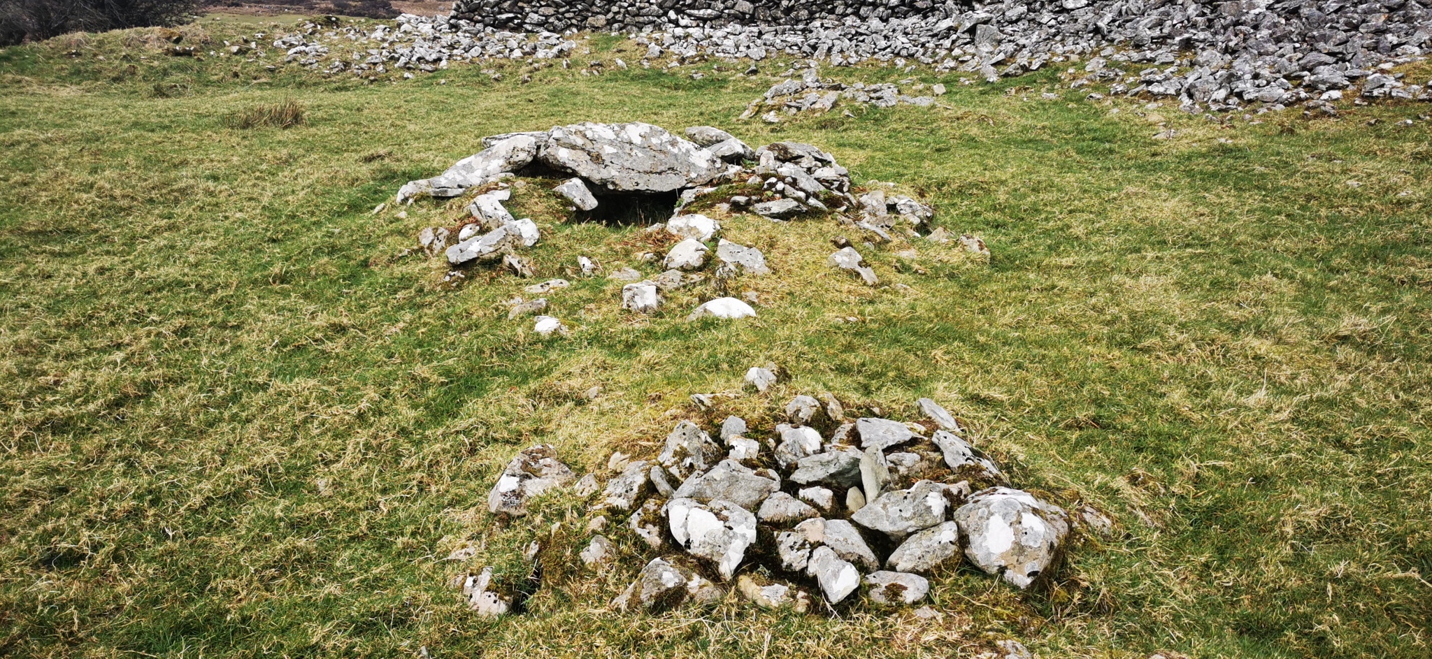 Click for the gallery page to add comments and vote (PID:224194) Caherdowney west ringfort (cashel)