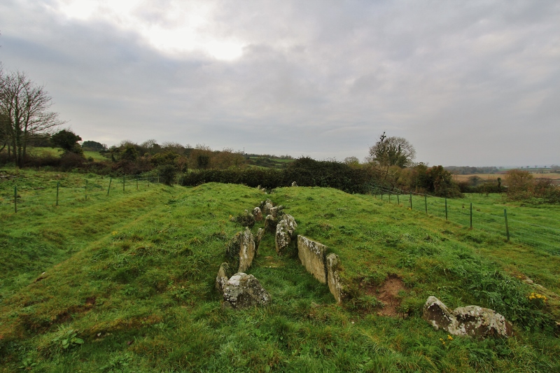 A dual court tomb close to Strangford town