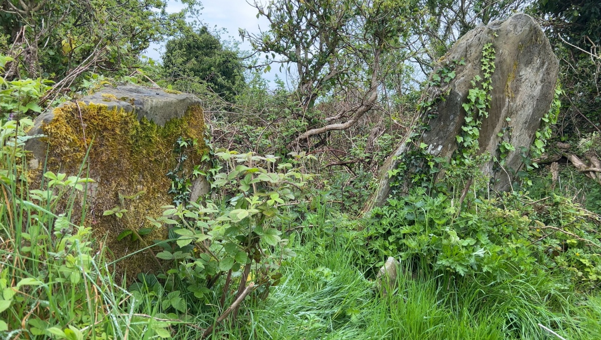 Ballyalton Court Tomb (PID:272931) Ballyalton Court Tomb