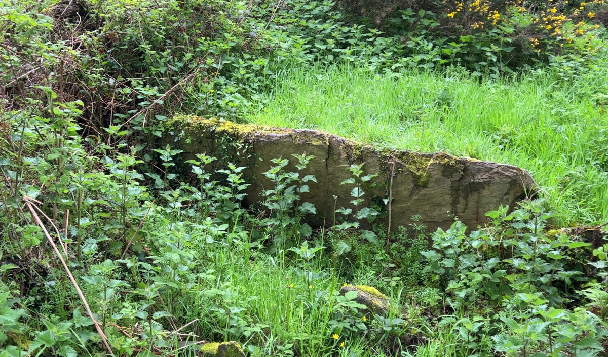 Click for full size image of Ballyalton Court Tomb (PID:272932) Ballyalton Court Tomb