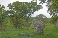Castleward