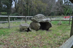 Mount Stewart Cist - PID:131171