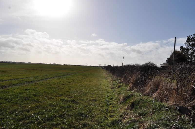 Ballyhemlin