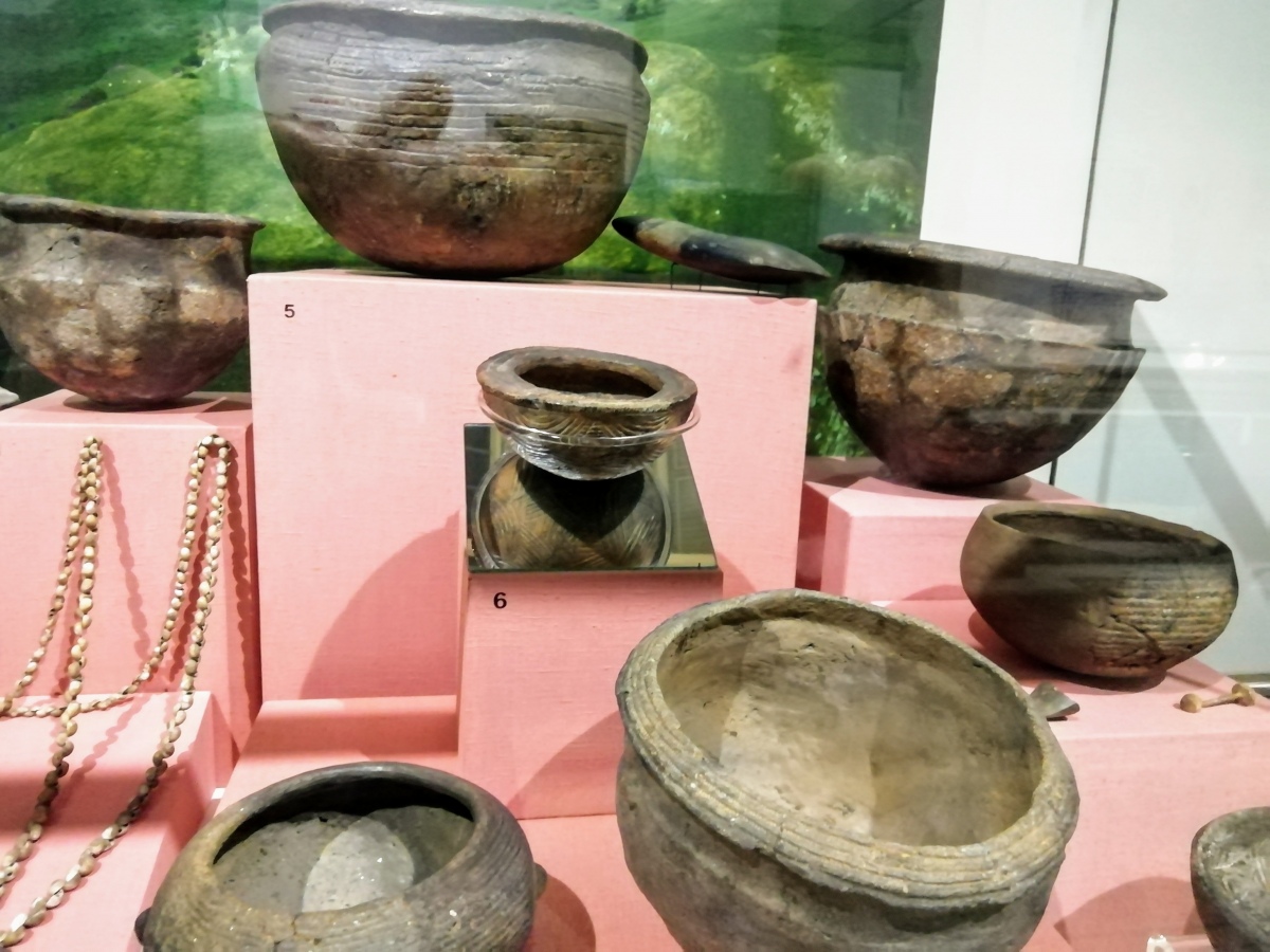 National Museum of Ireland