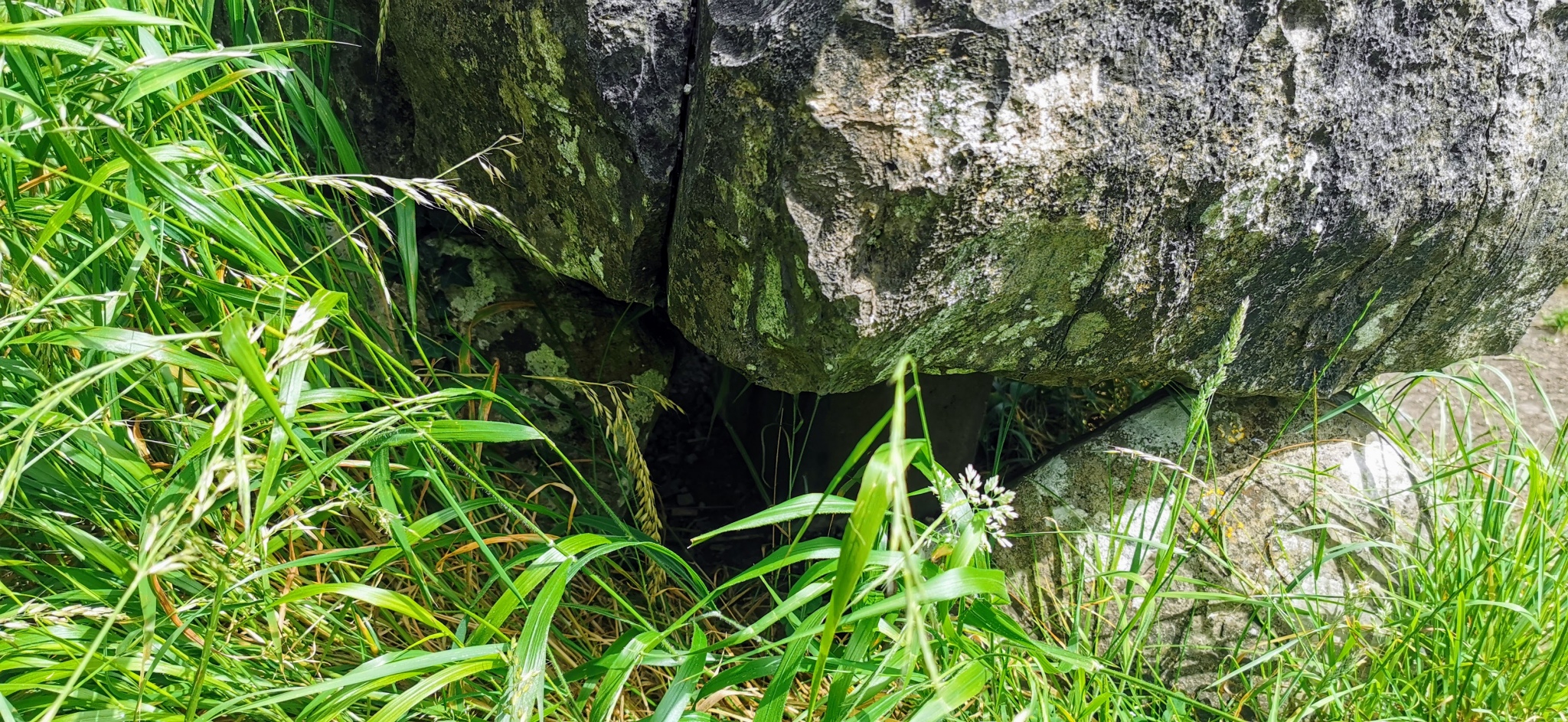 Knockmaree dolmen