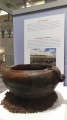 Click for full size image of National Museum of Ireland (PID:162366) National Museum of Ireland
