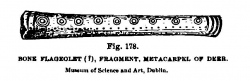 Click for full size image of National Museum of Ireland (PID:97834) National Museum of Ireland