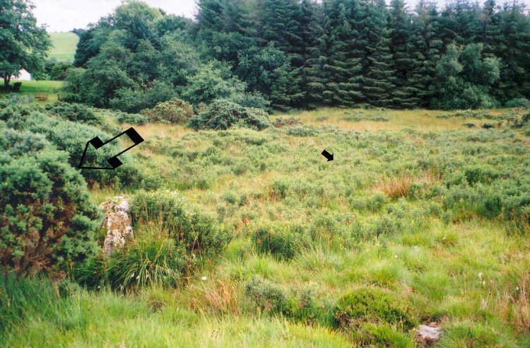 Click for the gallery page to add comments and vote (PID:41854) Montiaghroe Centre