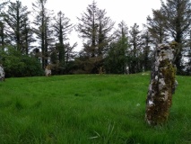 Masonbrook
