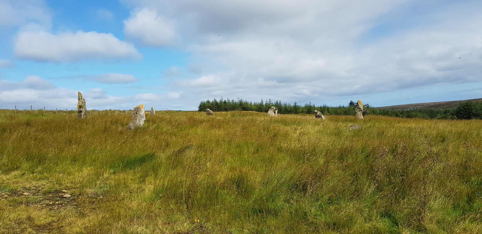Click for the gallery page to add comments and vote (PID:201491) Lough Inn Circle