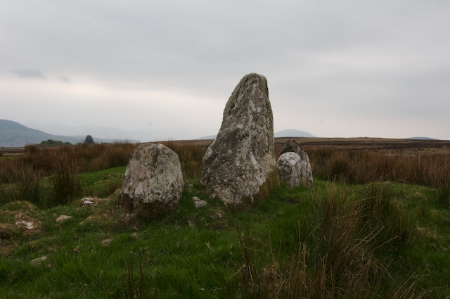 View of the largest stone. Numerous stones in the peat suggest much remain underground.