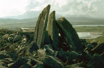 Click for the gallery page to add comments and vote (PID:12463) Muntermellan