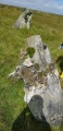 Lough Inn Circle - PID:201494