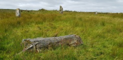 Lough Inn Circle - PID:201495