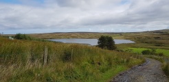 Lough Inn Circle - PID:201496