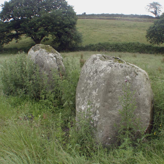 Ardaneanig Row (PID:10501) Ardaneanig Row