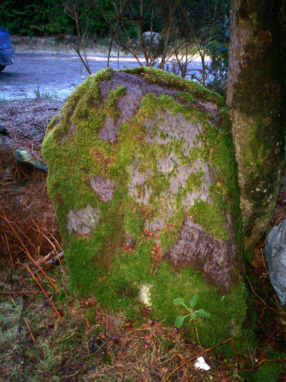 This stone is 1.1m tall and .93m wide aligned NE-SW it is usually surrounded by rubbish due to it's position in a car park! 