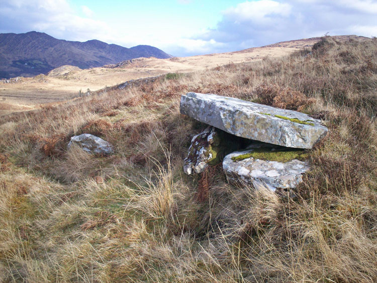 Click for the gallery page to add comments and vote (PID:54725) Derrylough