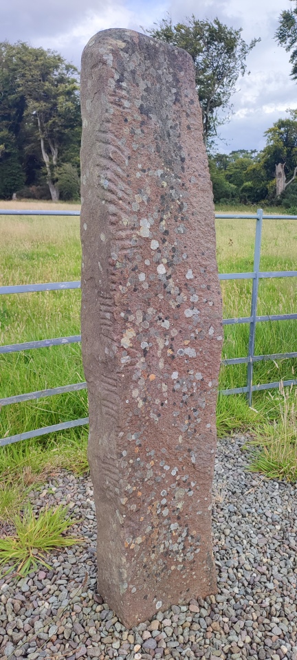 Click for the gallery page to add comments and vote (PID:265664) Coomagort ogham stones