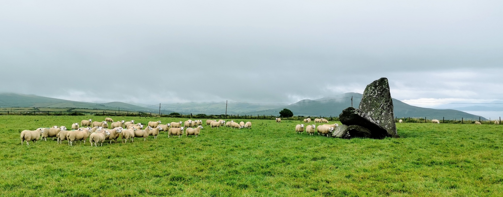 Click for full size image of An Gráig standing stone (PID:232554) An Gráig standing stone