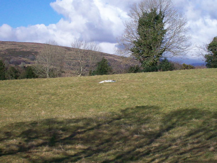 Click for the gallery page to add comments and vote (PID:54822) Killowen