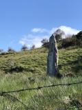 Doory standing stone - PID:297055