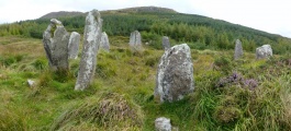 Drombohilly Stone Circle - PID:139642