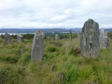 Drombohilly Stone Circle - PID:179509