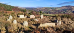 Gurteen stone circle - PID:256865