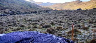 Coumreagh rock art
