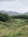 Drombohilly Stone Circle - PID:274688