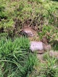 Drombohilly Stone Circle