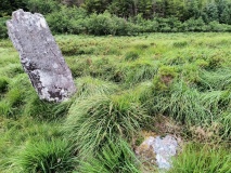 Drombohilly Stone Circle